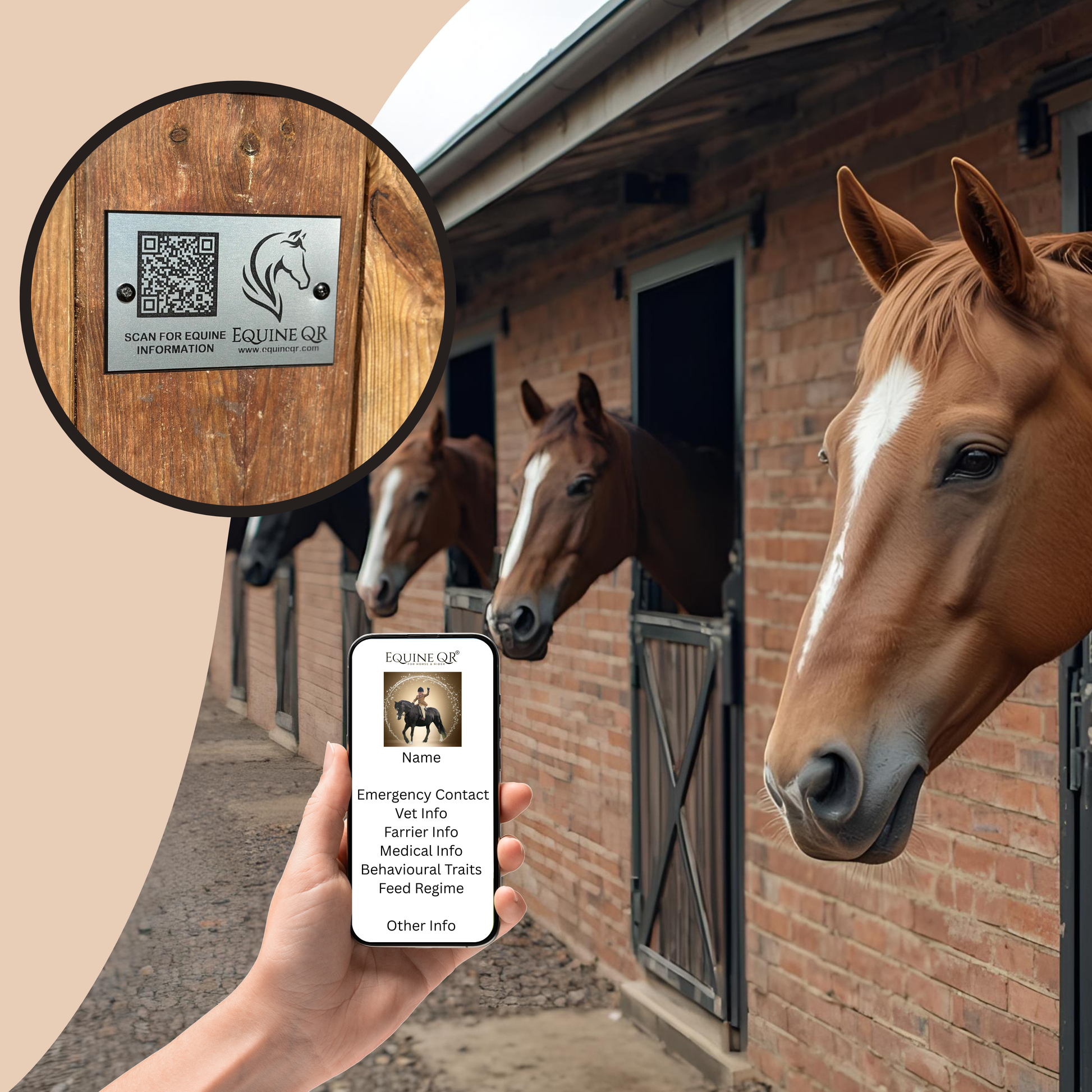 Stable QR Pay in
